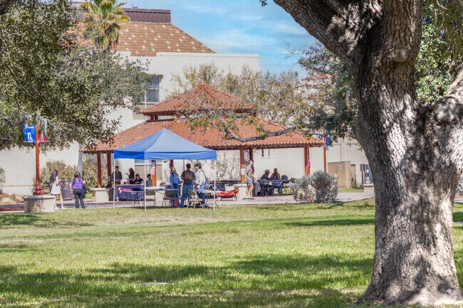At Texas A&M University Kingsville, tradition and innovation shape the future.