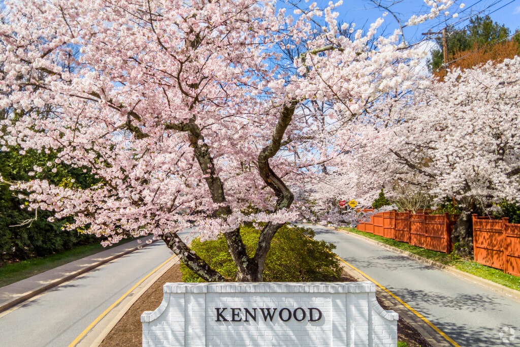 About Kenwood Park Schools, Demographics, Things to Do
