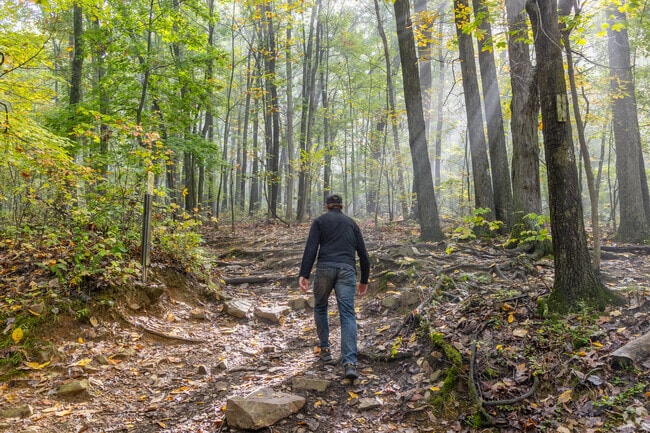 Mount Nittany Trailhead is a popular spot for College Township locals to hike.