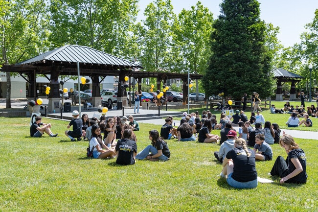 Windsor High School students enjoy a leadership workshop at Town Green Park.