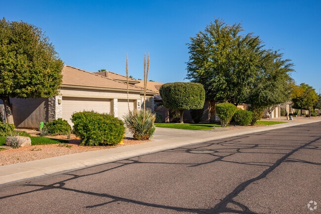 Discover the sense of camaraderie in Coldwater Springs' inviting community.