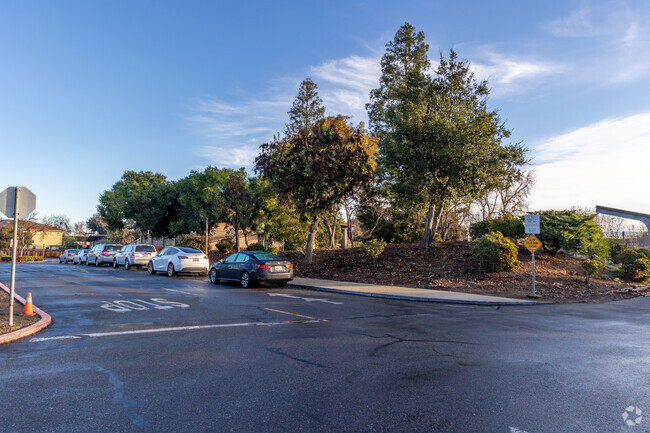 Holy Family School offers a space where all people can learn and thrive.