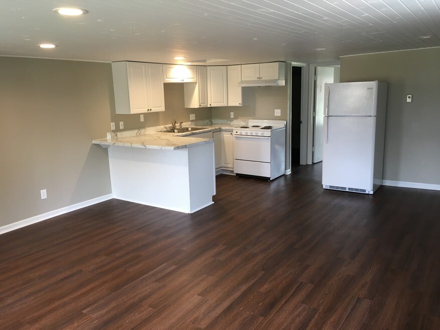 223 N West St unit 4, Dakota, IL 61018 - photo 1