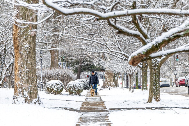 Aylesford Place dog owners enjoy a peaceful neighborhood and well-kept sidewalks.
