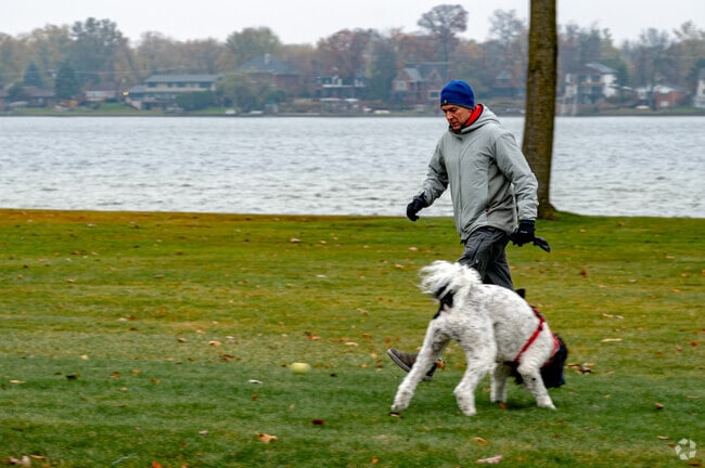 Sylvan Lake has plenty of places to take your dogs for a walk.