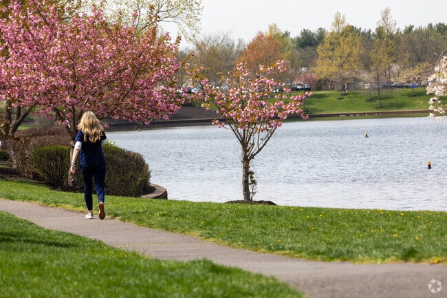 Locals can take a scenic walk around Mercer Lake in Mercer Park in Robbinsville, NJ.