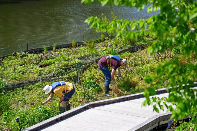 Wild Mile in Goose Island is a first of its kind floating Eco Park on the Chicago River.