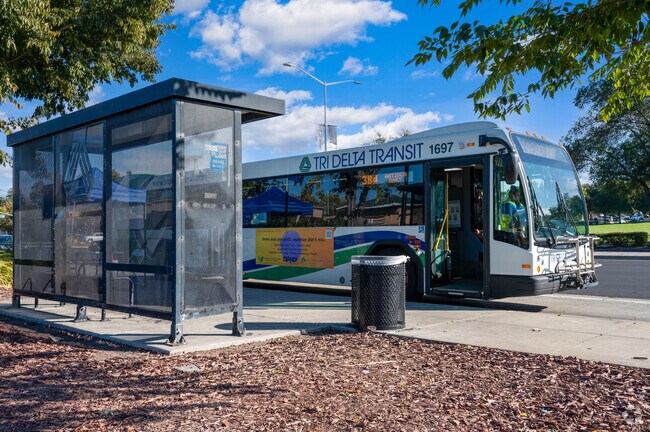 Public transportation makes it easy to travel in Country Hills.