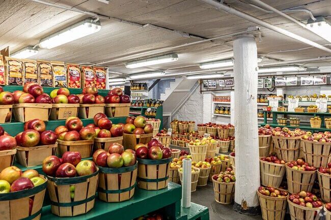 Buy graded apples at Rogers Orchards shop or pick your own from the orchard in East Southington.