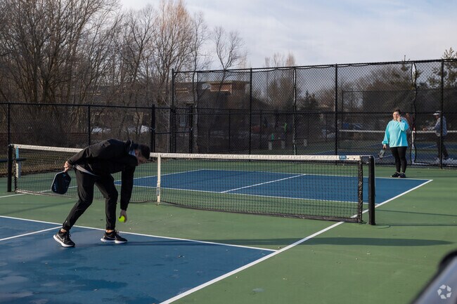 The Caledonia Community Green has public access pickleball courts to get some outdoor exercise.