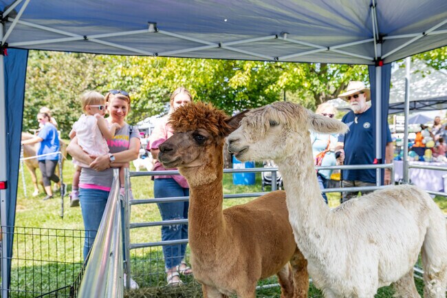 The locals of Pinesburg will tell you that Canal Days in Williamsport the best event in MD.