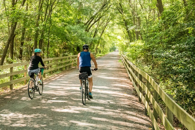 The AdventHealth ECO Greenway, a riverfront trail in Rome, is a paved 16+ mile pathway weaving through historic Downtown. It links visitors to dining, shopping, & the city's charm. Learn more here.