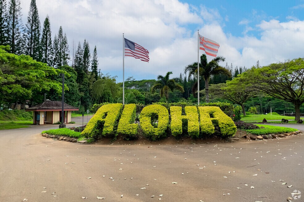 NH_Kilauea_543959_P2_053024_FB_v1