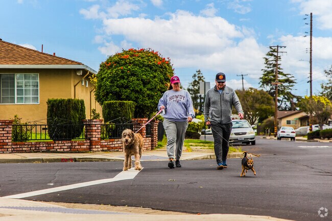A couple and their dog enjoy a serene walk through the friendly streets of Glen Eden.