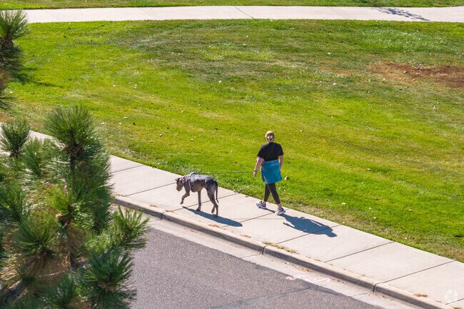 Residents of Hyland Greens walk their dogs on the paved paths in Carroll Butts Park.