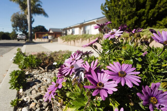 There are many yards with gardens in East Lompoc.
