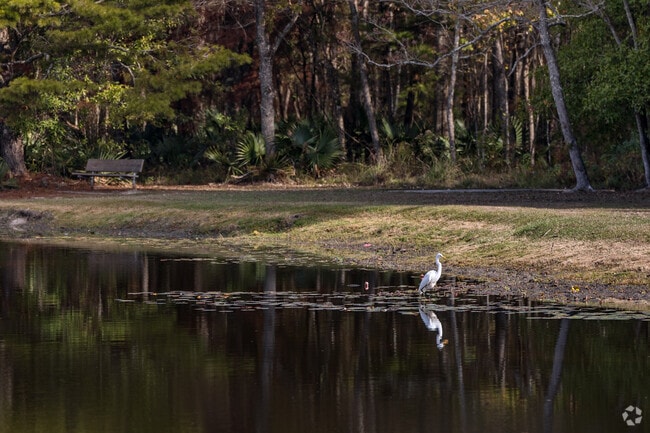 Palomino Drive Park's lake is popular with not only the visitors but also nature.