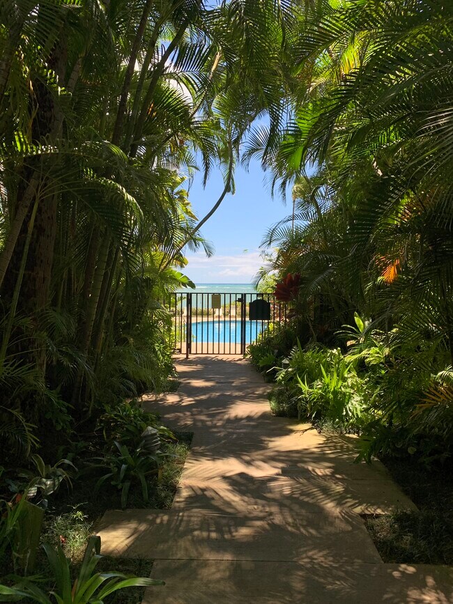 Lush foliage as you enter the pool