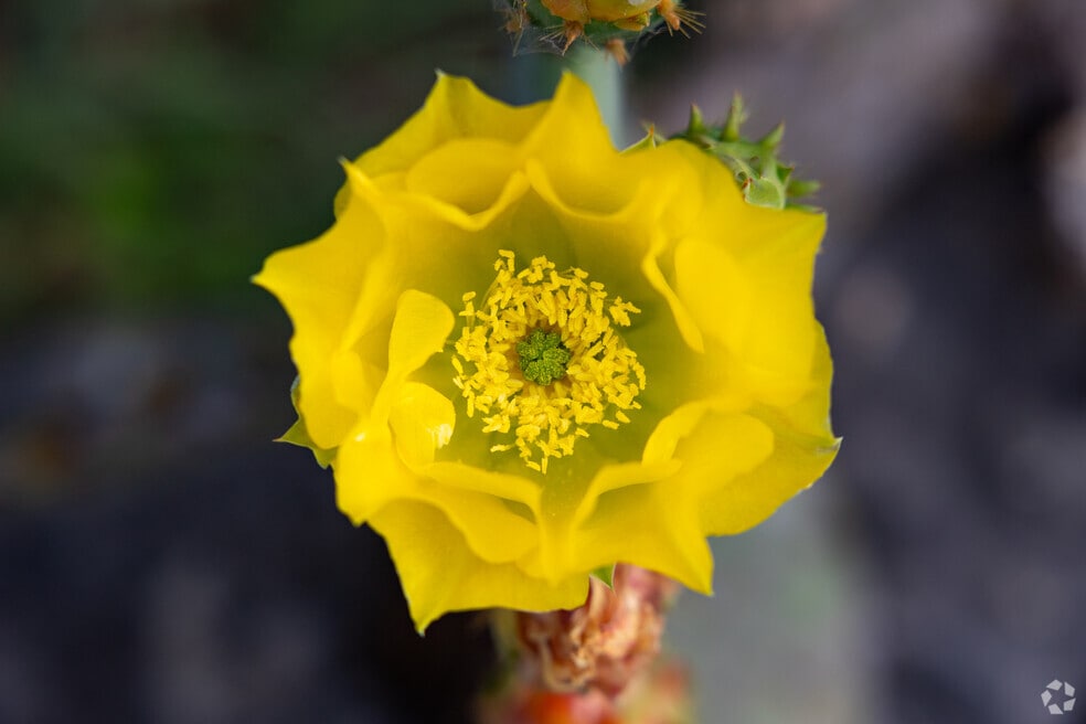 NH_Circle C Ranch_510744_P2_V1_DM_052224