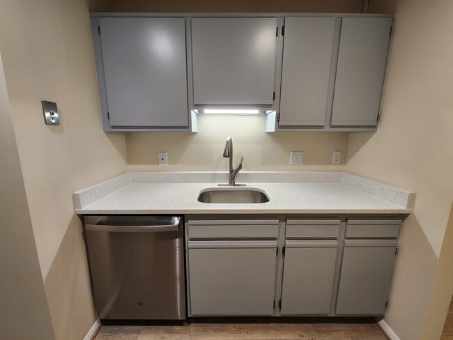 Brand-new countertops, sink, and dishwasher
