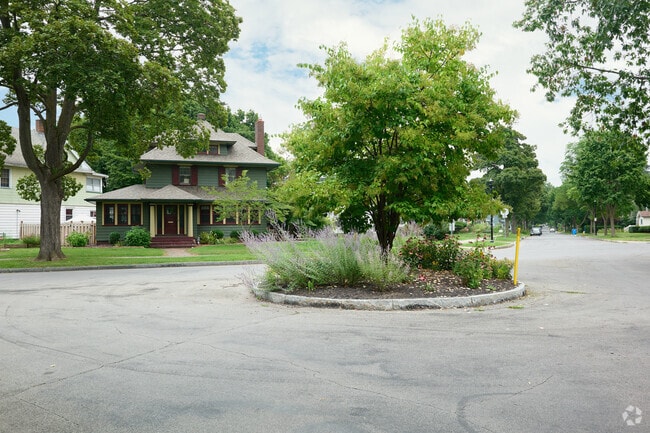 Take in the sight of local trees and plants found in the neighborhood of 19th Ward.