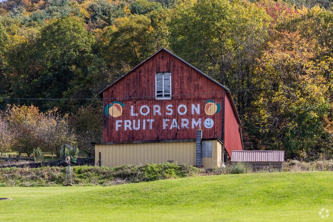 AP Lorson Fruit Farm is the place to go for a variety of fresh-picked apples in Limestone.