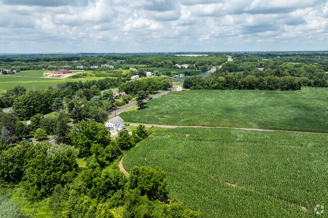 Corn is a common sight in Mansfield Township during the summer.
