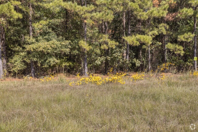 The Forest is healthy and thriving in Princeton.