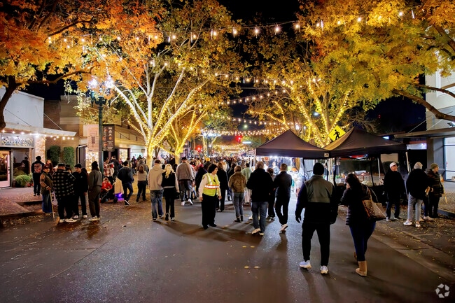 Welcome to The Festival of Lights in Downtown Turlock, CA.