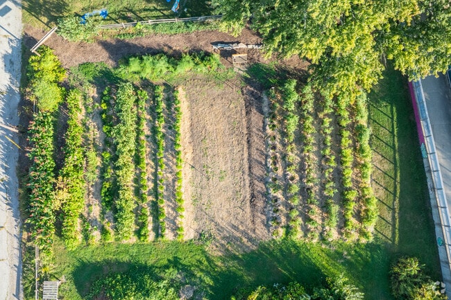 Find a plot for you and yours inside the Footbridge Sharing Garden.