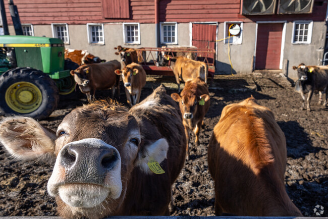 Whether you work on a farm or not, animals and nature are a large part of life in Fredon.