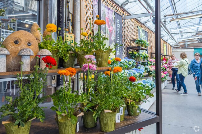 Bachman's has a large selection of Home and Garden items.