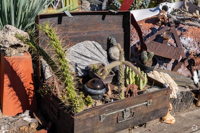 Cactuses thriving in an artistically repurposed old box, spiking creativity.