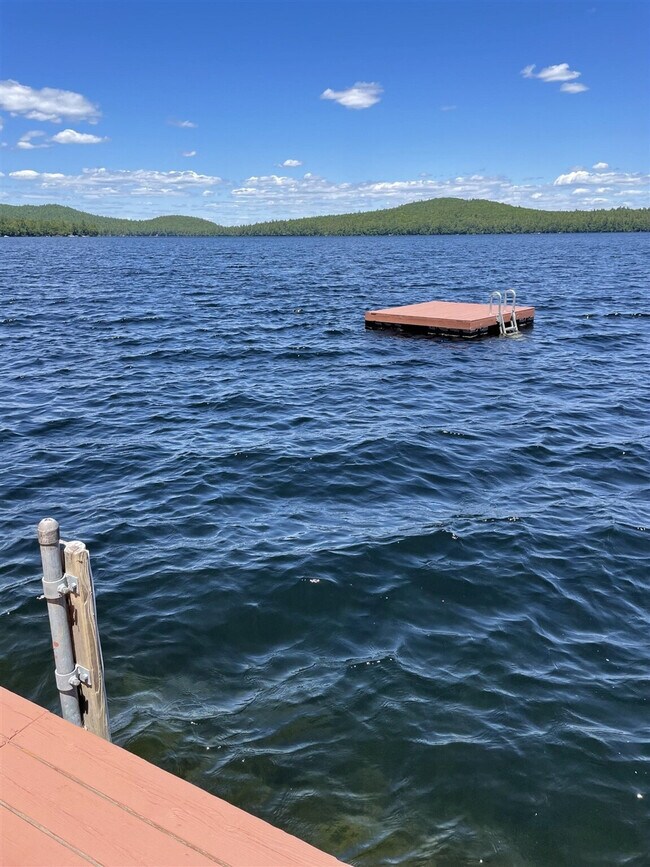 613 Peabody Pond Rd unit ID1255629P, Sebago, ME 04029 - photo 3