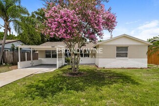 8509 Portulaca Ave, Seminole, FL 33777