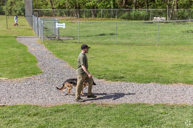This German Shepard has been enjoying some play time at Optimist Dog Park.