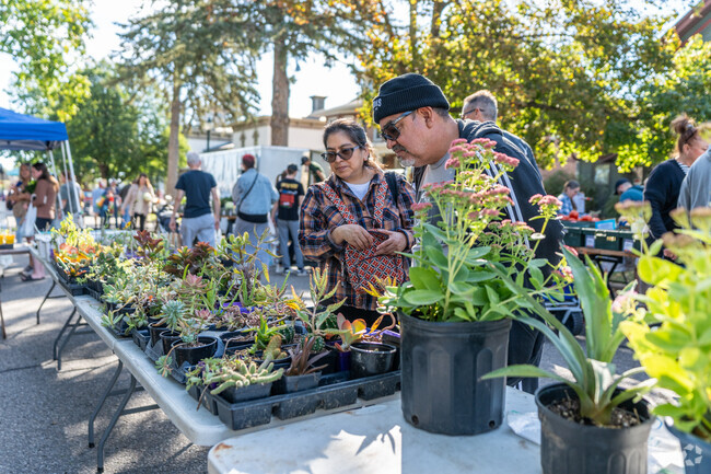 A couple examines the succulents at the Cedar Falls Farmers Market.