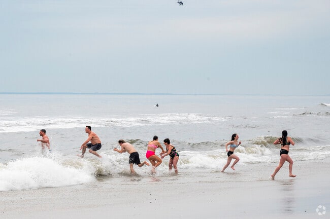 Join the annual Long Beach Polar Plunge, every second Sunday in February.
