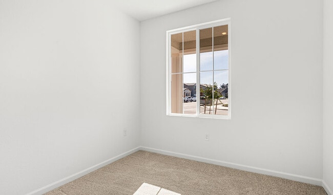 1101 Potter Dr, Lathrop, CA 95330 - photo 7