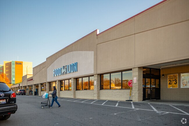 Castalian Springs has few amenities so locals must go to Gallatin for groceries at Food Lion.