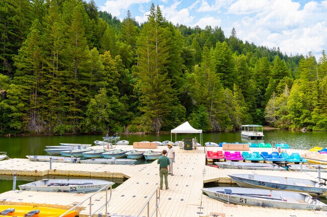 Boating and fishing are popular activities at Loch Lomond Recreation Area.