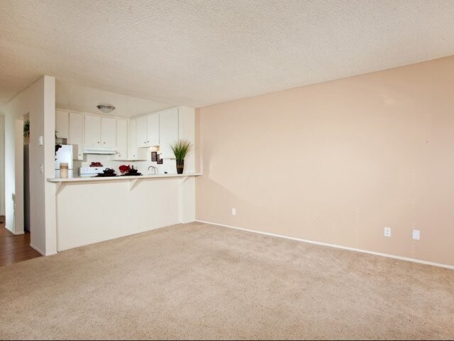 Elan Coco Palms, San Diego, CA 92107 - photo 4