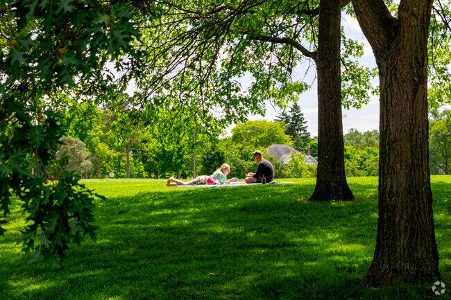 Shaded spots on grassy hills make for perfect afternoon picnics at Allmendinger Park.
