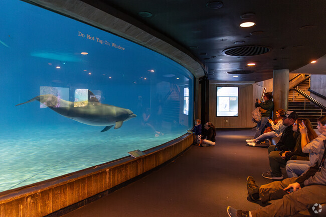 The National Aquarium is a popular day out for Garwyn Oaks families.