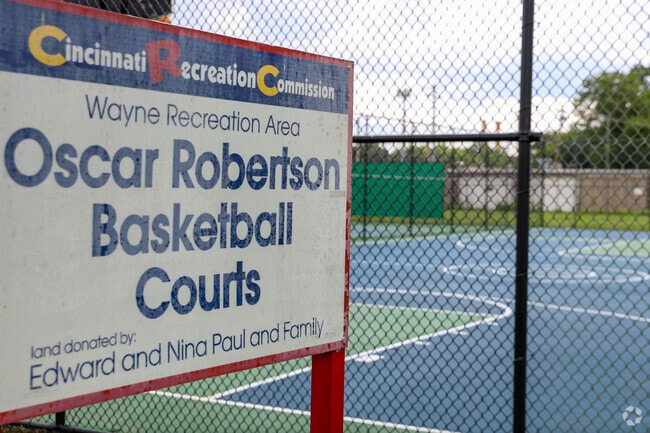 Play a game of pickup at the courts at Wayne Recreation Area in South Cumminsvile.