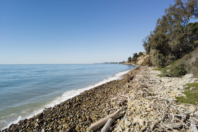 Take your furry friends to frolic by the water at Summerland Beach in Summerland.