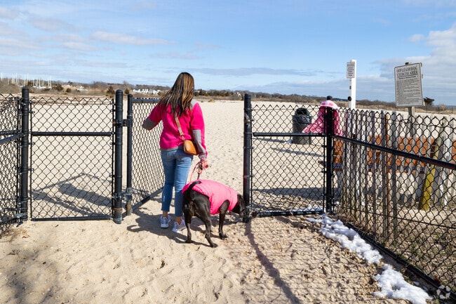Mud Creek Dog Park in Bellport is an expansive park on the beach.