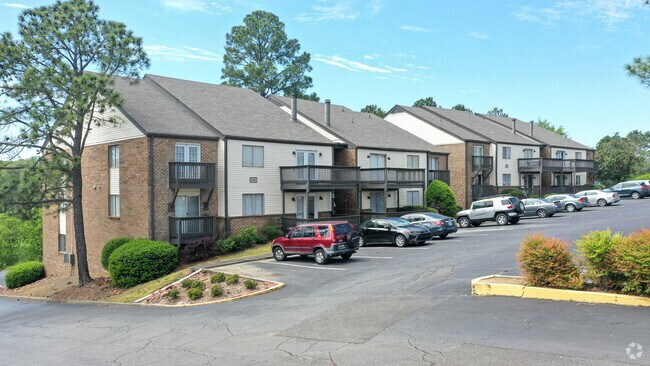 The Onyx Hoover Apartments, Hoover, AL 35216 - photo 6