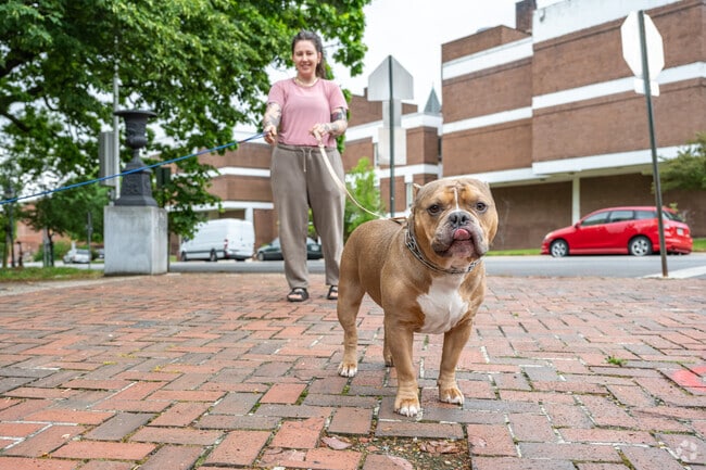Walk your dog around Union Square neighborhood.