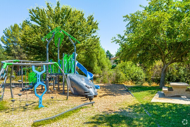 There are multiple playgrounds in Arroyo Park, West Davis.